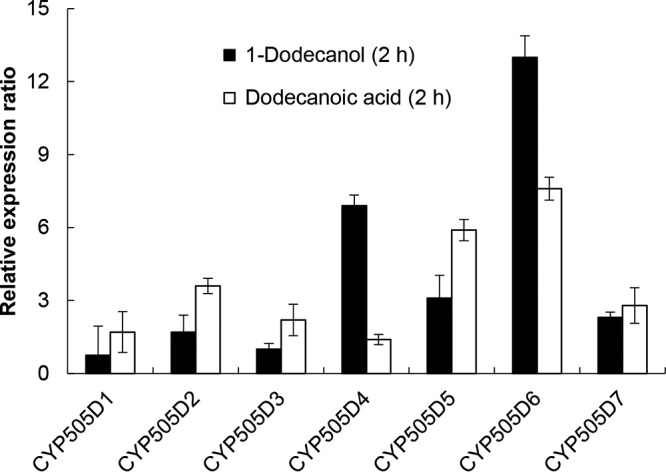 FIG 2