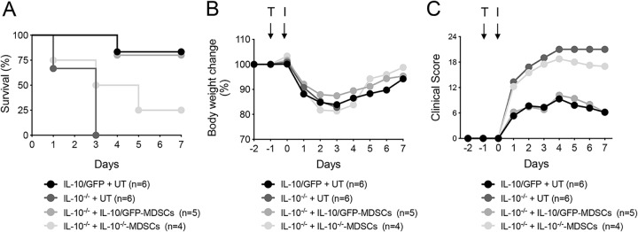 FIG 8