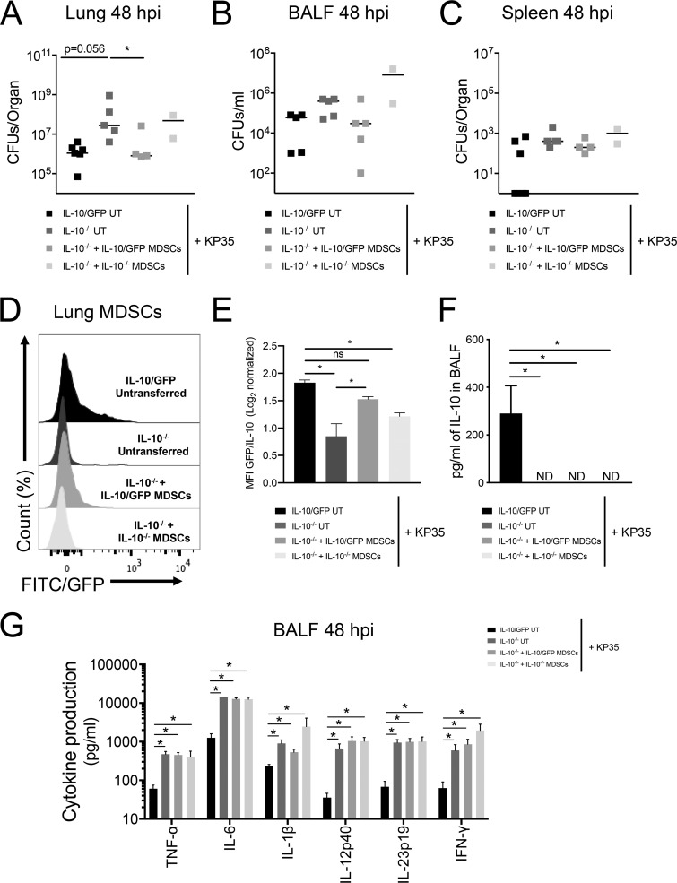 FIG 6