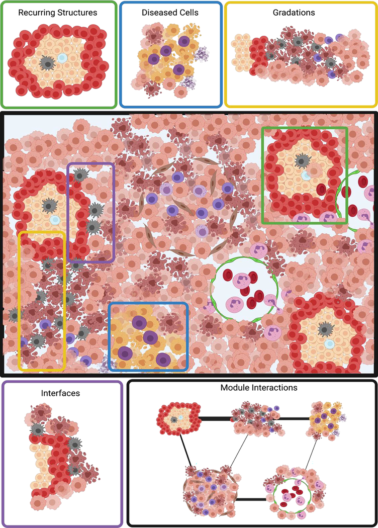 Figure 4: