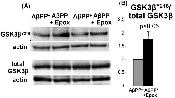 Fig.4