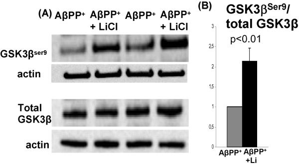 Fig.5