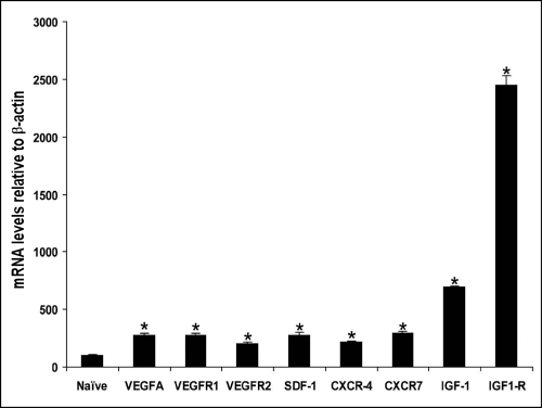 Figure 5.