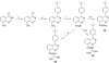 Scheme 3