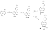 Scheme 5