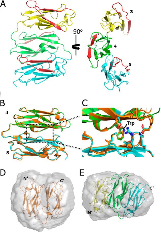 FIGURE 2.