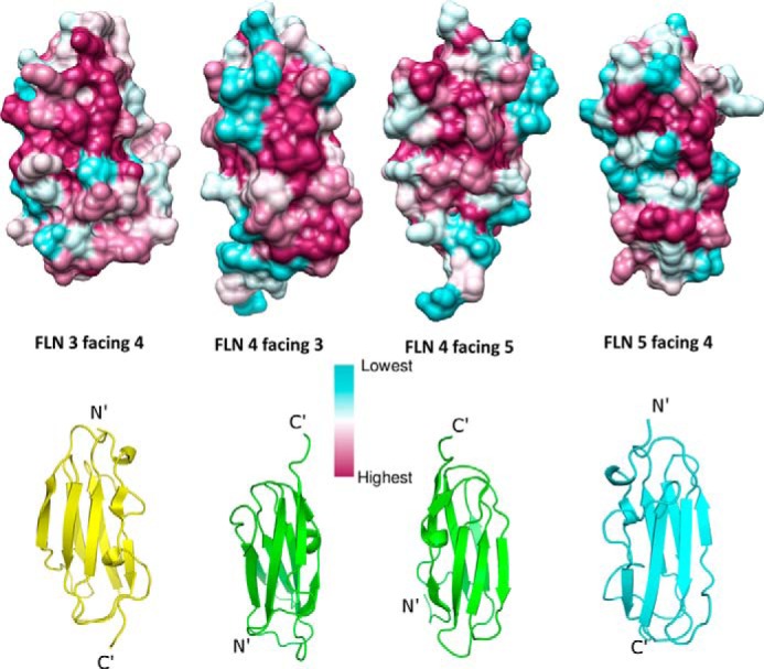 FIGURE 3.