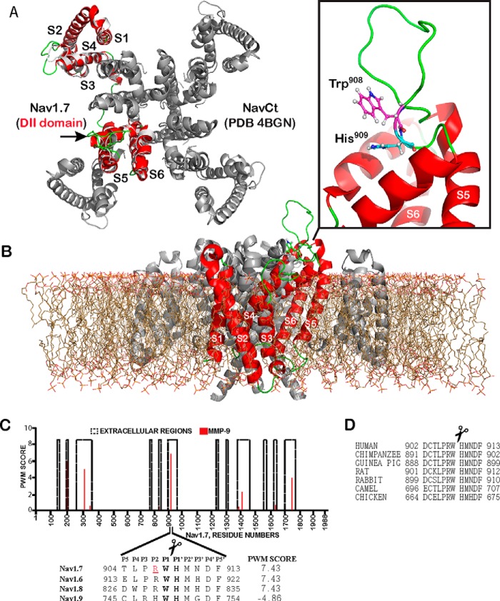 FIGURE 1.