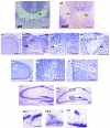 FIG. 8.