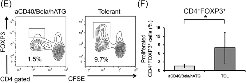 Figure 5: