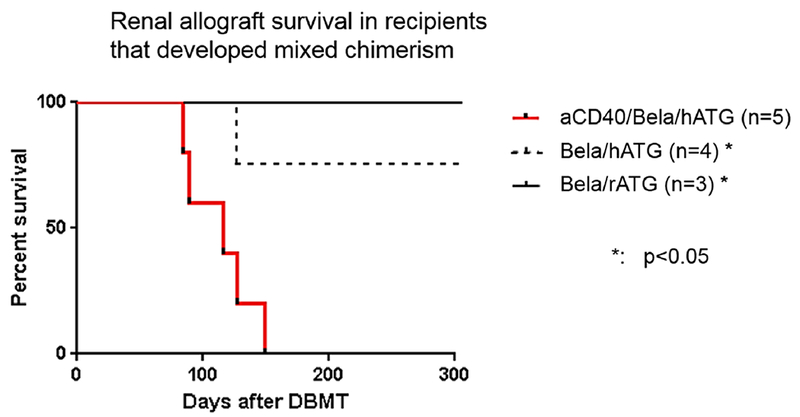 Figure 6: