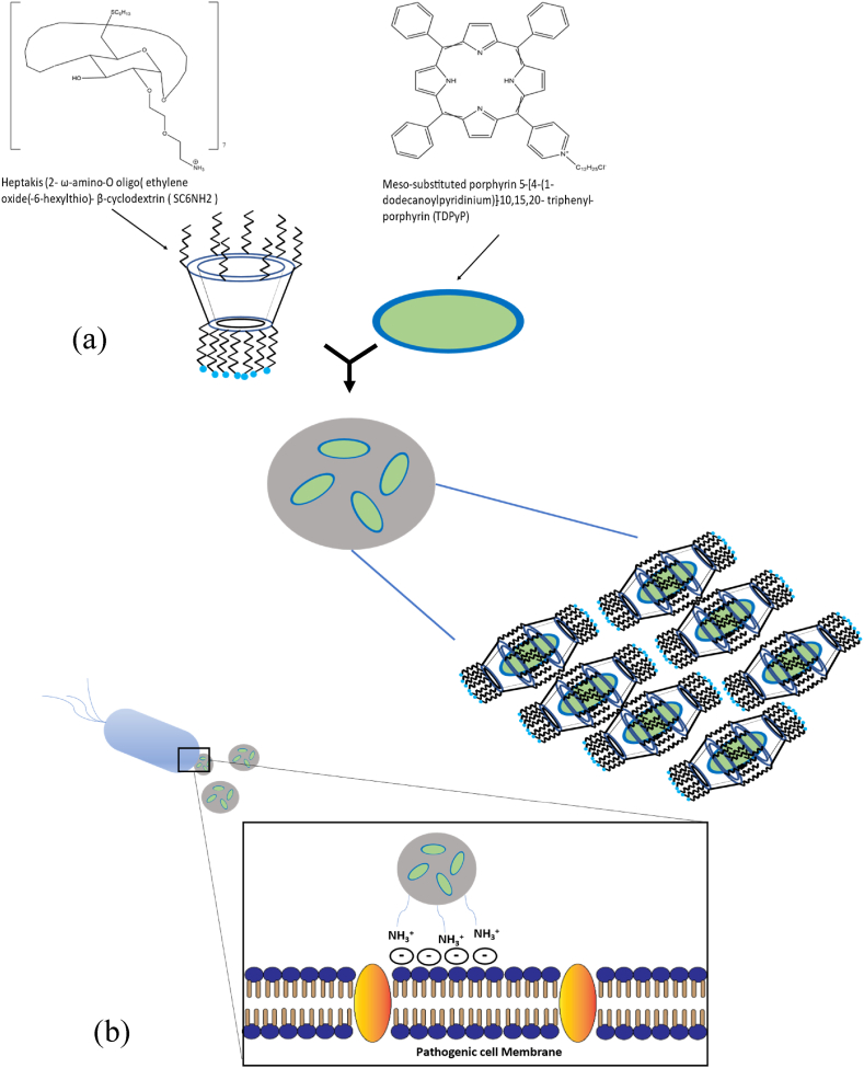 Fig. 9