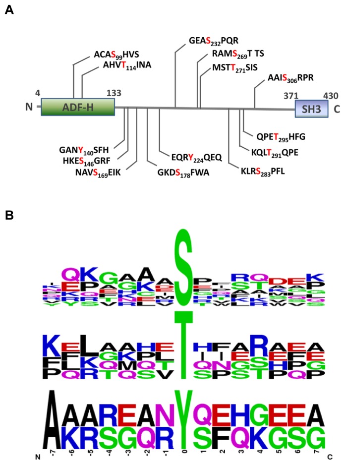 Figure 5.