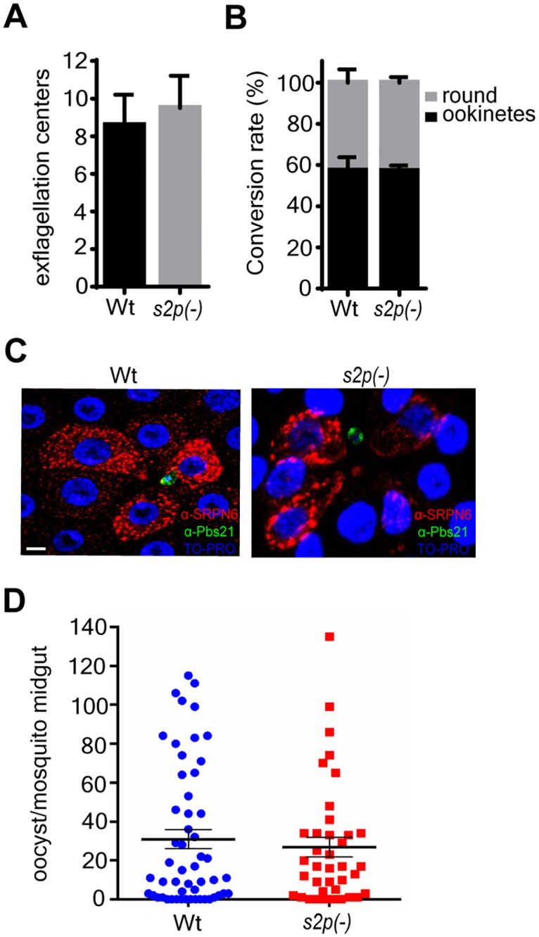 Fig 4