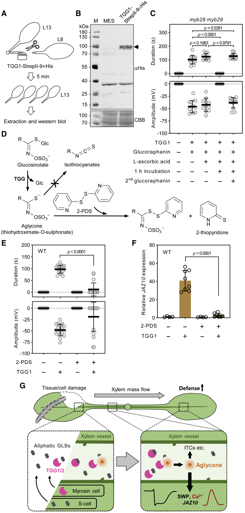 Figure 7