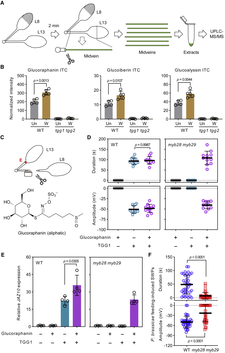 Figure 6