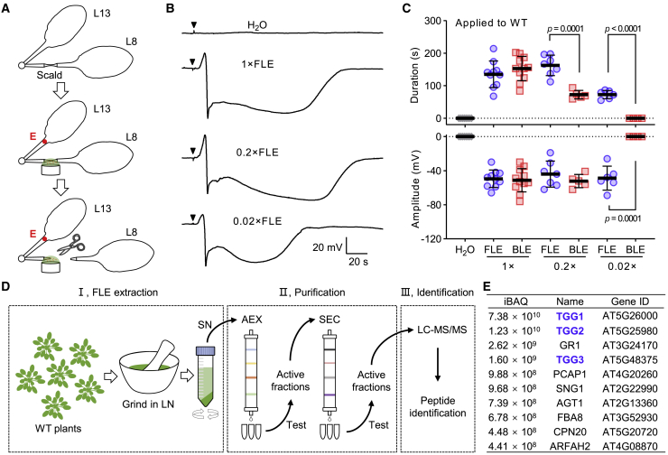 Figure 3