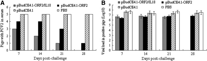 FIG. 5.