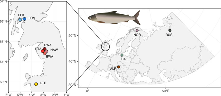 FIGURE 1