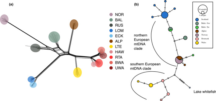 FIGURE 3