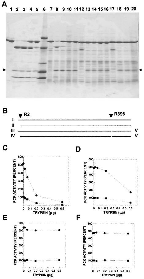 FIG. 8.