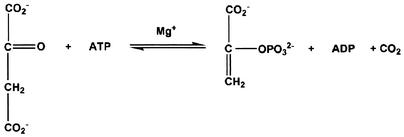 FIG.1.