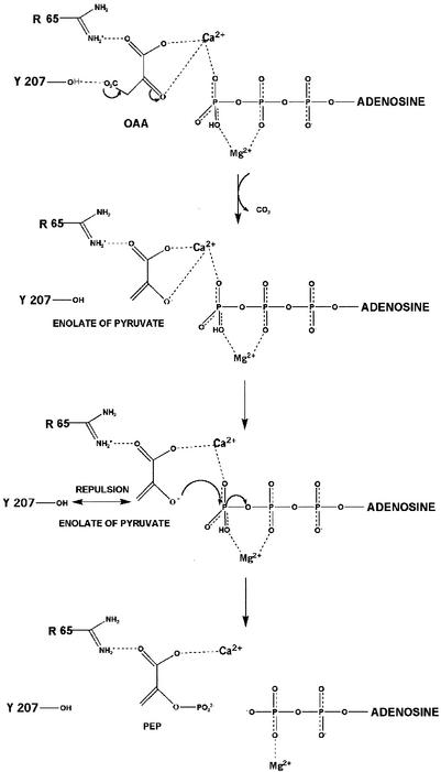 FIG. 9.