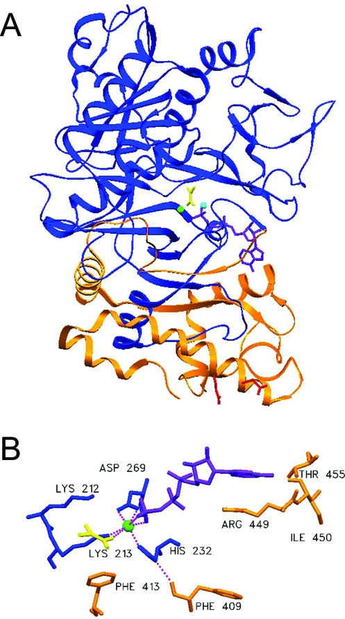 FIG. 5.