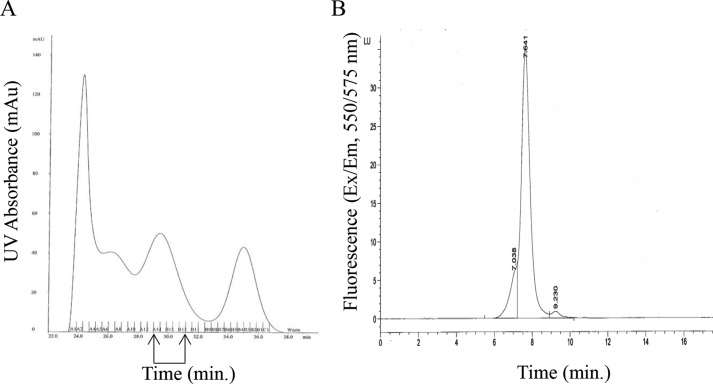 FIGURE 3.