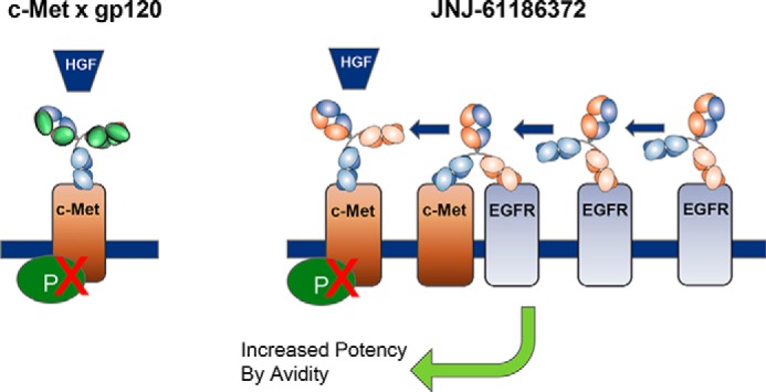 FIGURE 12.