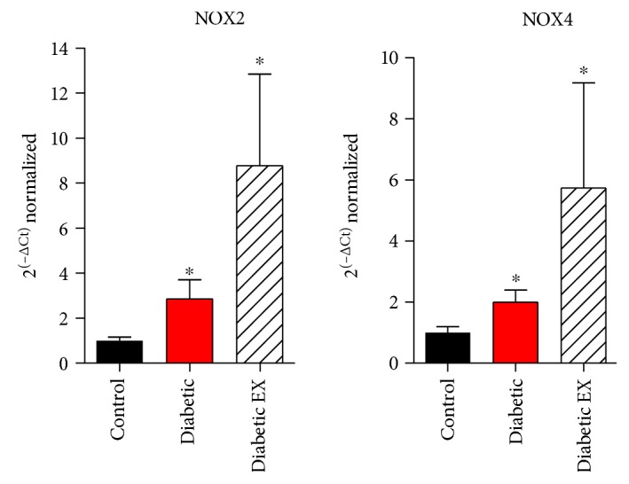 Figure 5