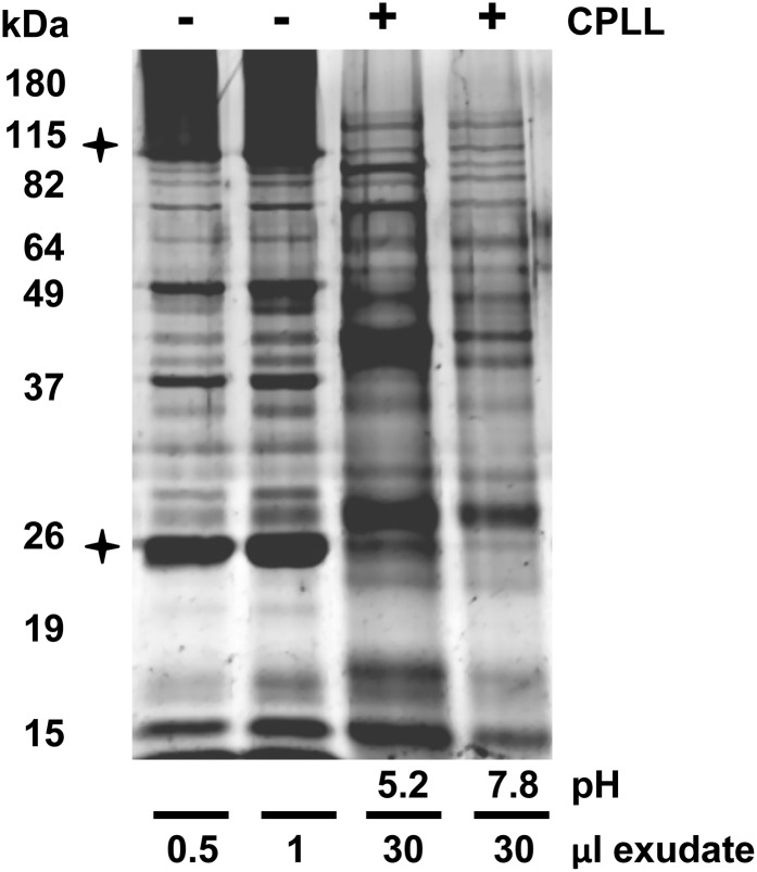 Figure 6.