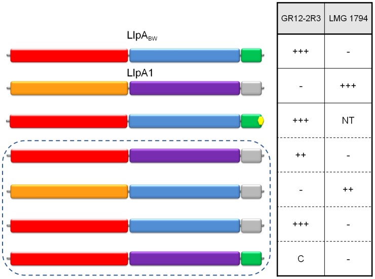 Figure 7