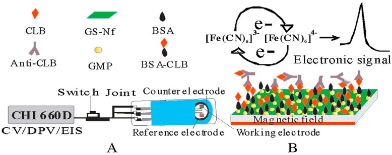 Figure 20