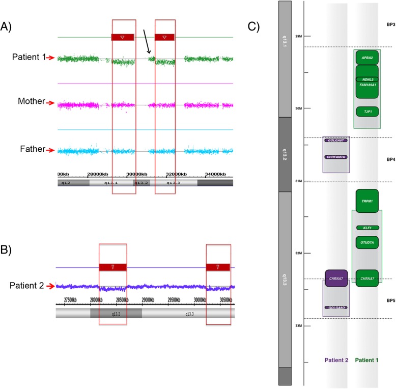 Fig. 1