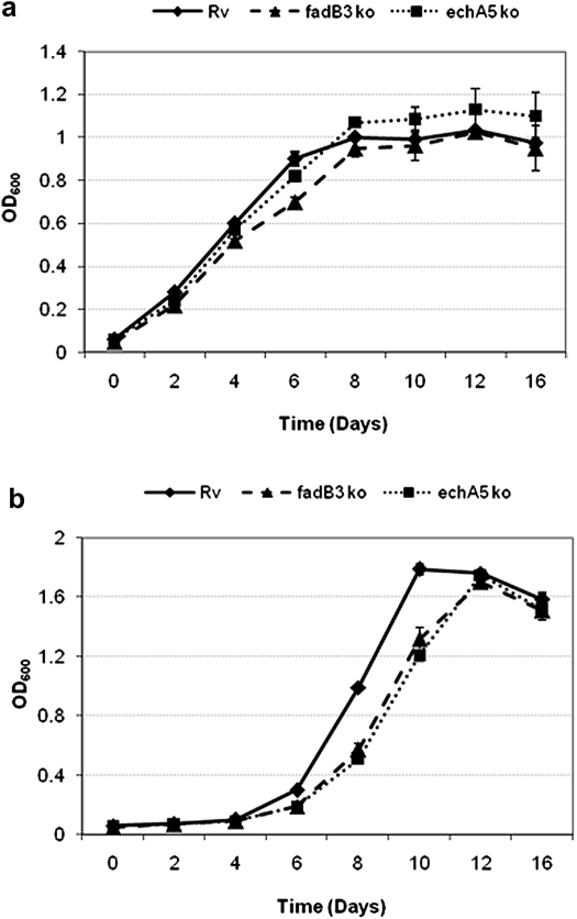 Figure 4