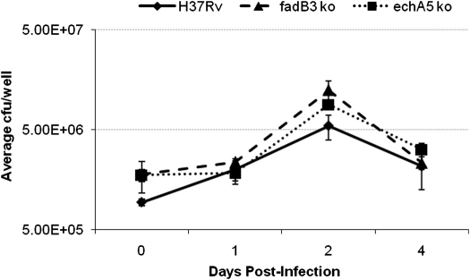 Figure 5