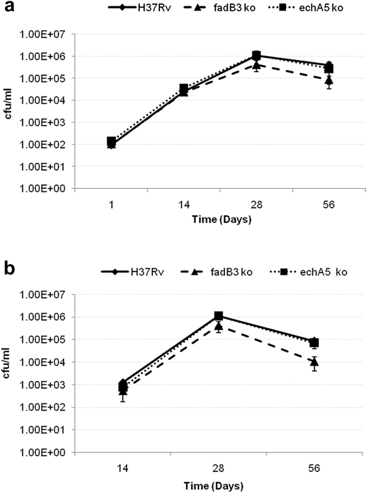 Figure 6