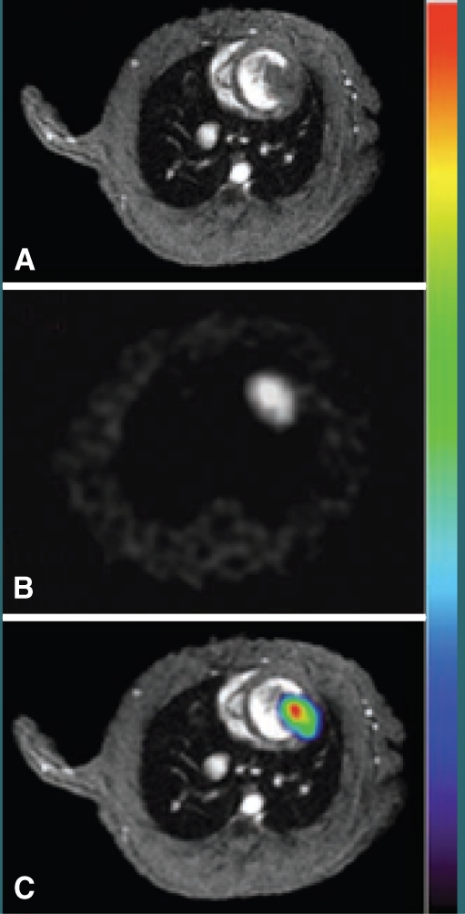 Fig. 6