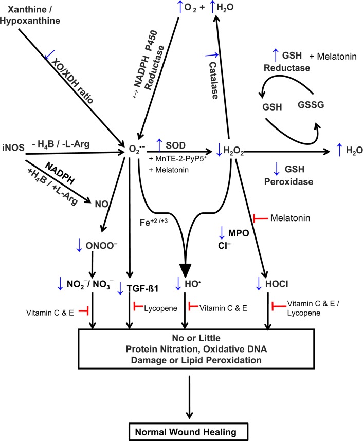 Figure 3.