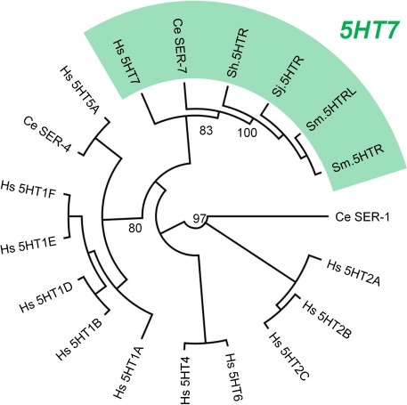 Figure 1—figure supplement 2.