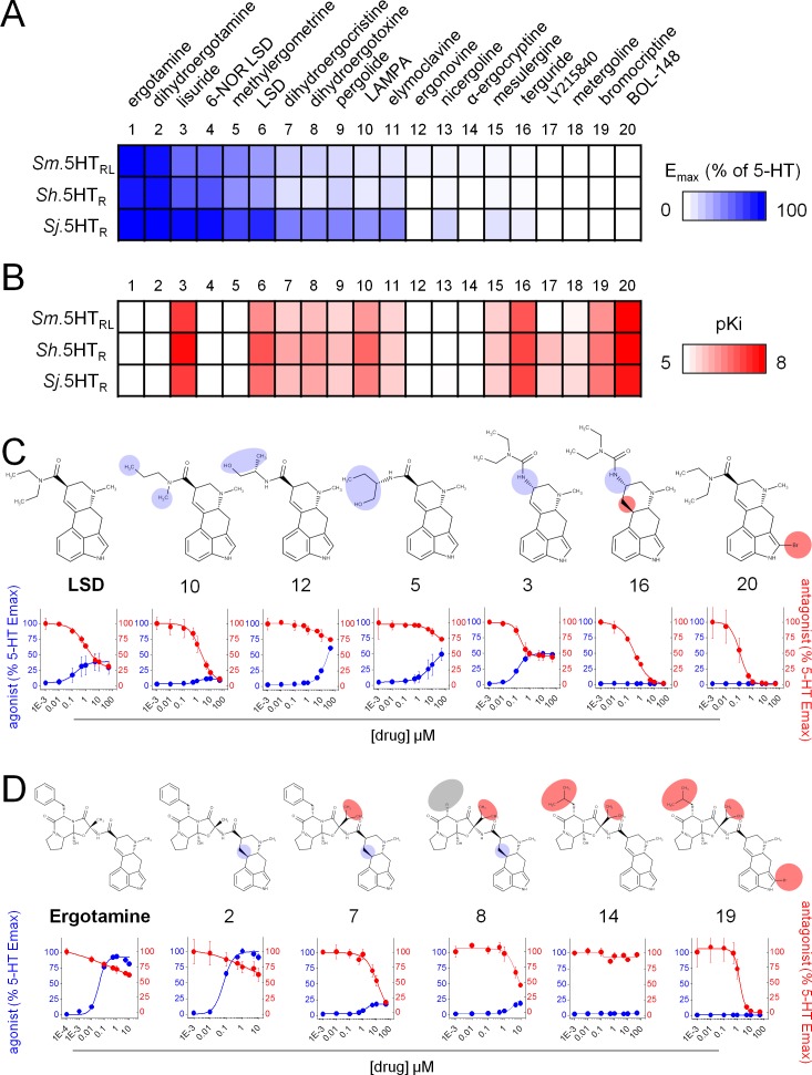 Figure 3.