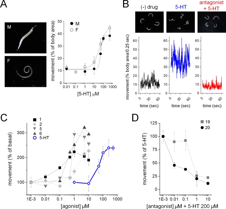 Figure 4.