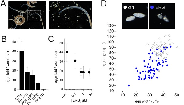 Figure 6—figure supplement 1.