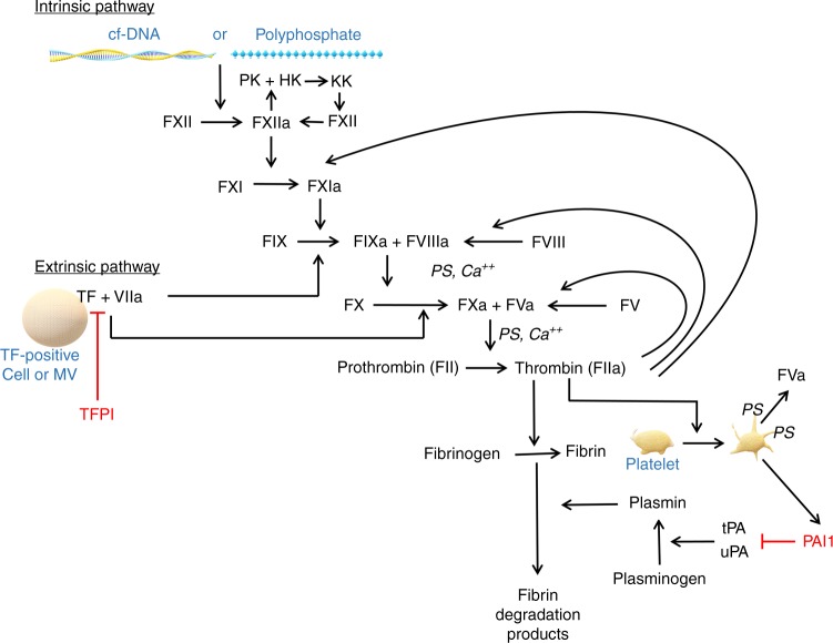 Fig. 2