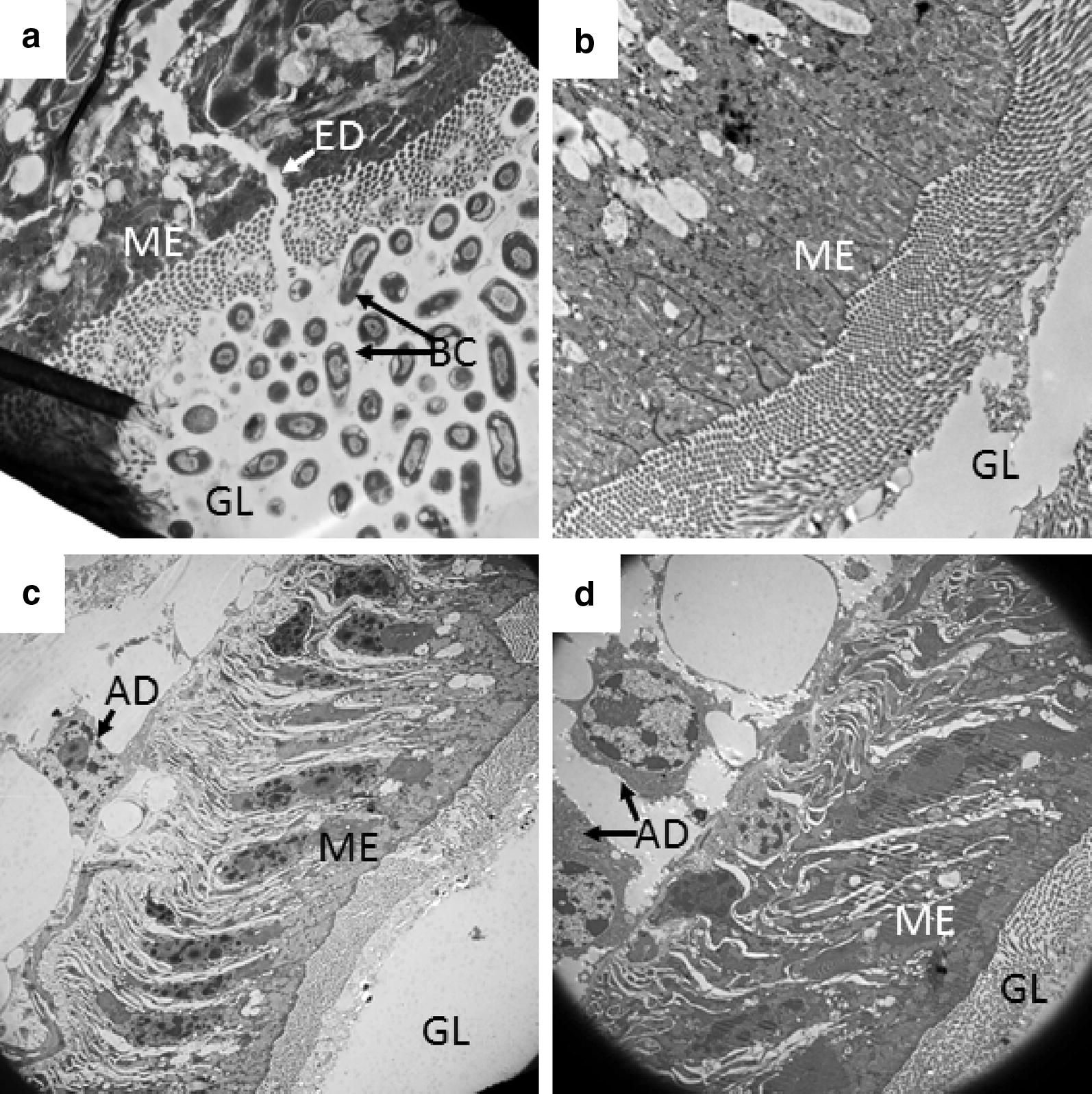 Fig. 4