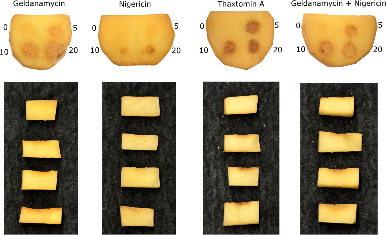 FIG 9