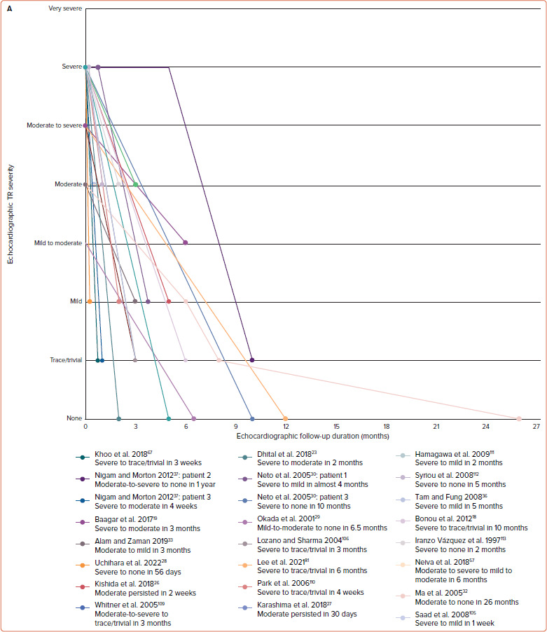 Figure 2A: