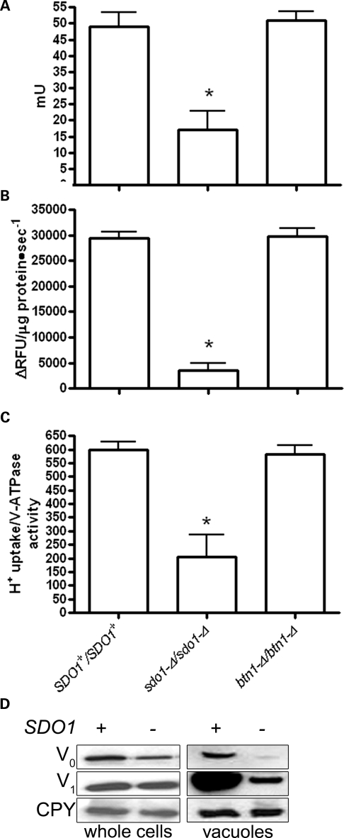 Figure 4.