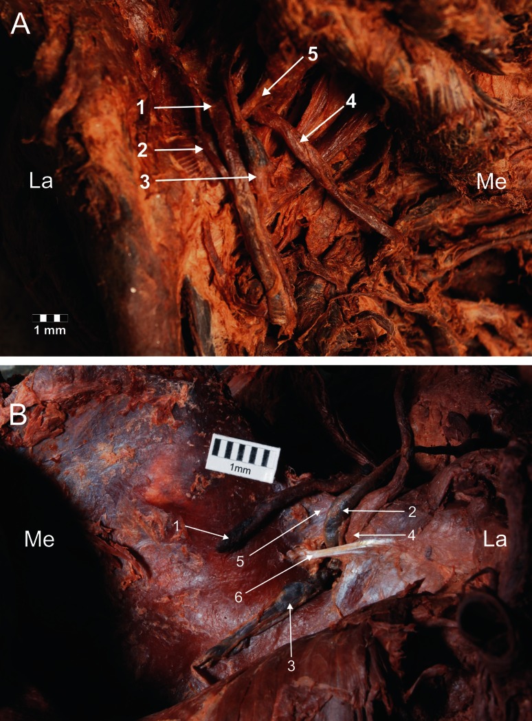 Fig. 5